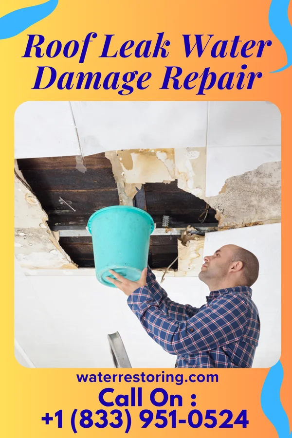 Roof Leak Water Damage Repair in Tangier, VA
